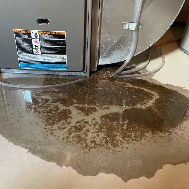 Appliance Leak Cleanup in Granite City, IL